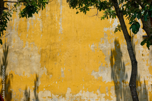 Weathered yellow wall with tropical shadows in Hoi An Vietnam