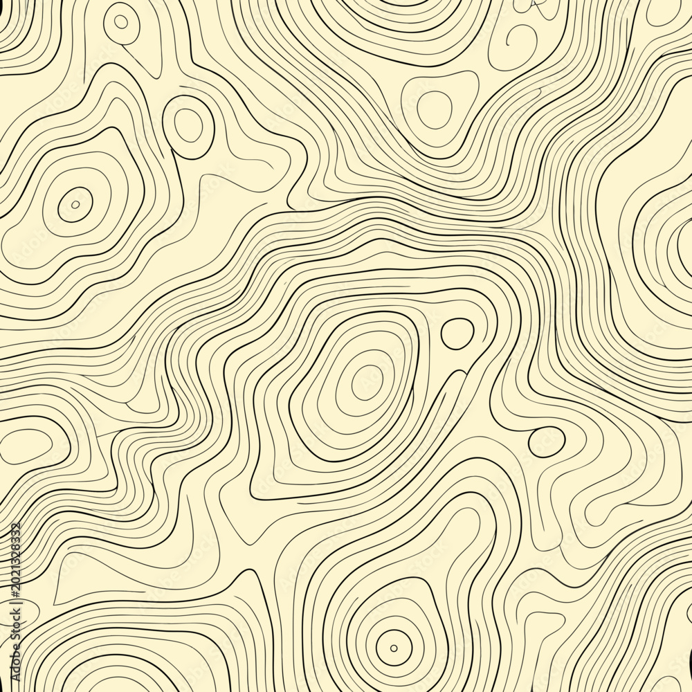 Fototapeta premium Abstract Topographic Line Pattern
