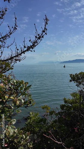 View of the Seto-Naikai Sea through dense vegetation. The terrain is visible ahead