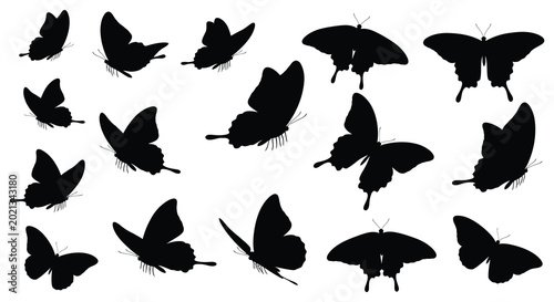 Photos Butterfly silhouettes collection on a white background