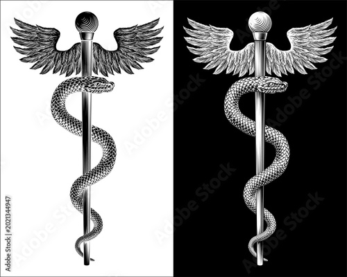 Rod of Asclepius staff medical symbol. Snake around rod or wooden staff. Often mistakenly called Caduceus. Doctor medicine and health care icon. Vintage woodcut etching style. Also features wings.