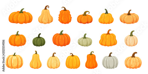 Foto Pumpkin set