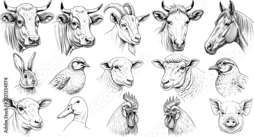 Photos Farm Animal Portrait Sketch Icon Set with Cow, Goat, Horse, Rabbit, Sheep, Bird,