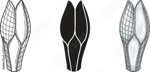 Photos Abstract organic vector design element presented in outline silhouette and shade
