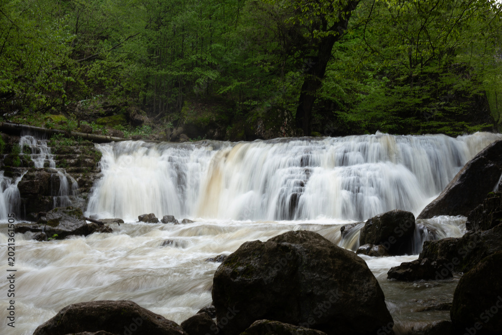 Obraz premium waterfall in the forest during the day