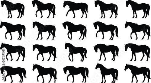 Fotografia Horse Silhouette Collection with Walking and Standing Equine Poses Vector Illust