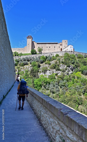 Quadro su tela Spoleto, il Ponte delle Torri e la rocca Albornoziana dal Cammino di San Frances