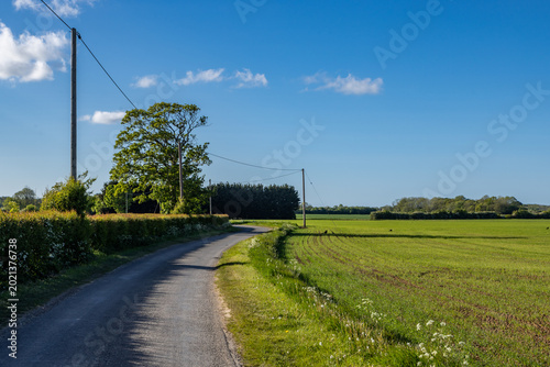 A country road running alongside farmland, in rural Lincolnshire