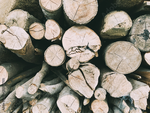 Obraz na plátne A large stack of freshly cut logs and firewood piled up in a forest or lumber ya