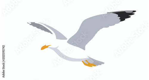 Photos Seagull top view vector cartoon flat illustration with soaring seabird isolated