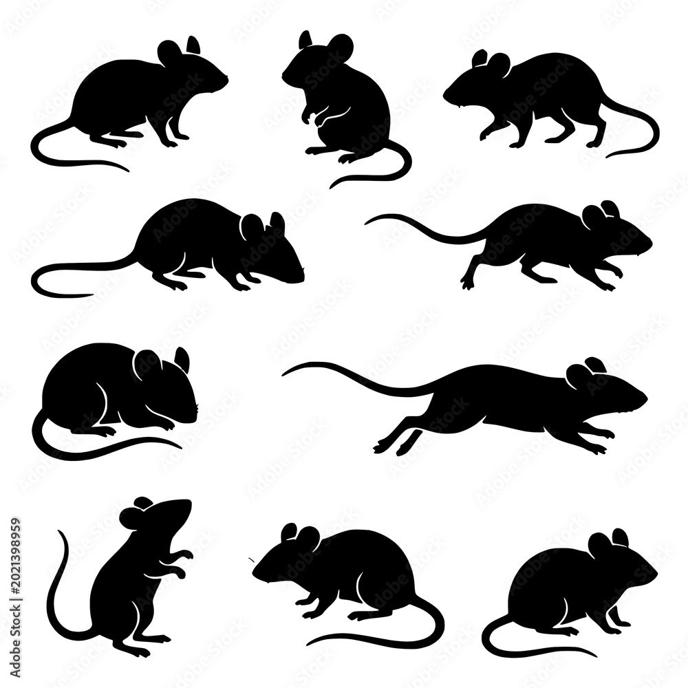 Fototapeta premium Black computer mouse vector silhouette icon