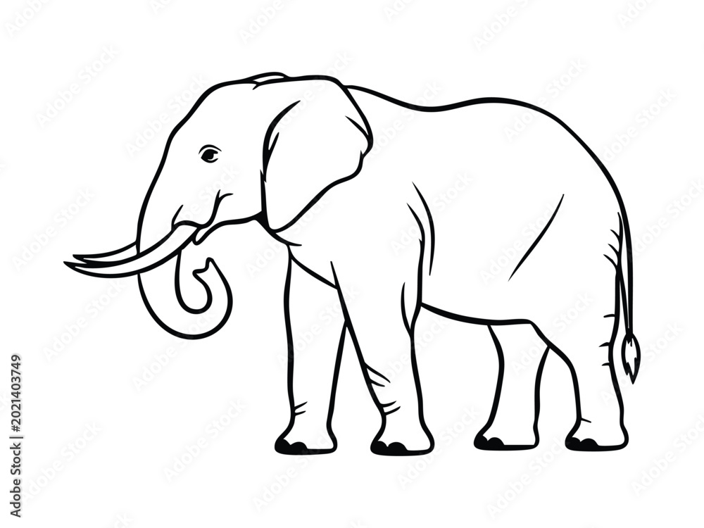 Obraz premium Black and white line art illustration of an elephant standing in profile with tusks and curled trunk, depicting a majestic wild animal.