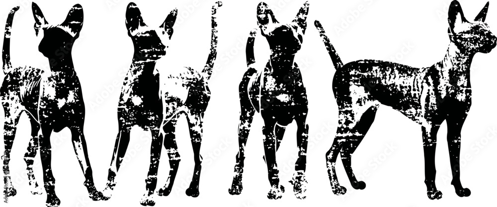 Fototapeta premium digital silhouettes of four standing dogs and one dog in side profile view