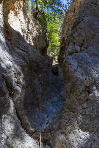 Scenic hiking route inside a deep rocky gorge with green trees above