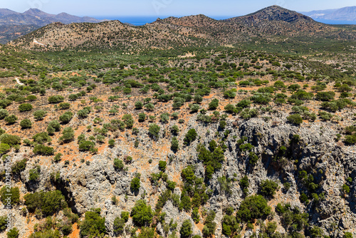 Photography Panoramic view of Mediterranean mountains and olive trees under a clear blue sky