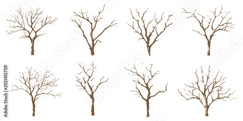 Cuadro en lienzo Set of hand drawn bare tree silhouettes with dry branches for autumn or winter nature vector illustration