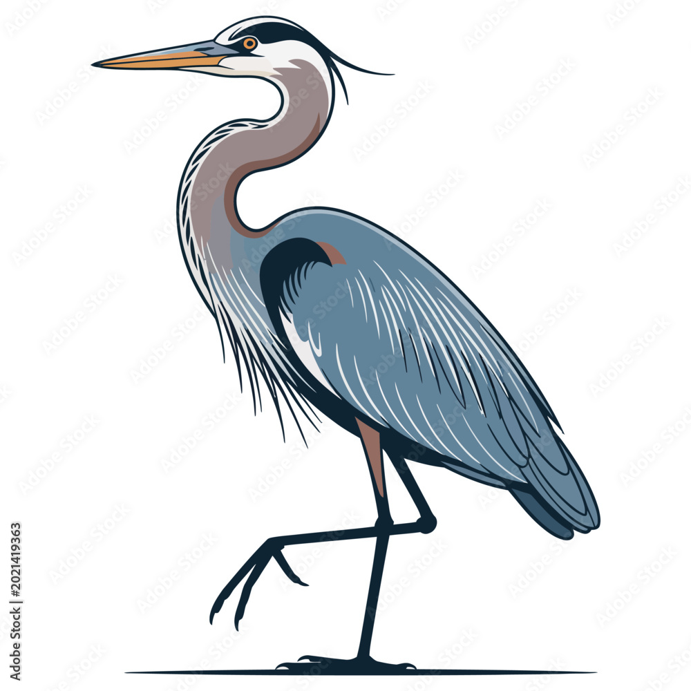 Naklejka premium great blue heron ardea cinerea