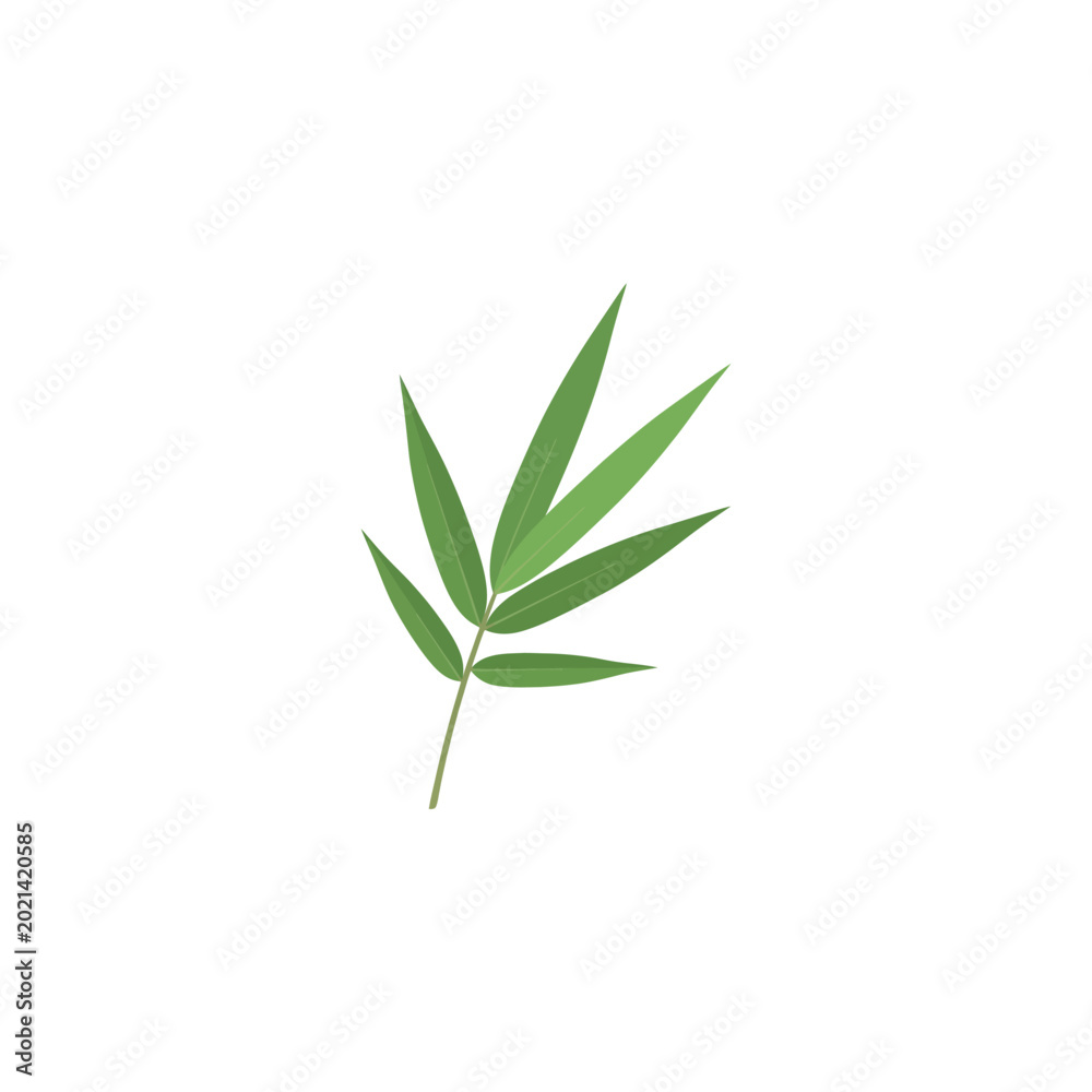 Fototapeta premium Green Bamboo Leaves Vector Illustration, Tropical Foliage Isolated on White Background, Minimalist Botanical Element for Asian Design, Zen, Nature, and Spa Graphic Art Projects