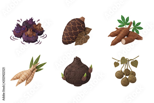 Cuadro en lienzo 3D render set of fresh asian root vegetable icons in soft felt style featuring w