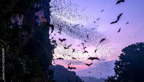 Thousands of bats flying out of a cave at dusk with purple sky and rocky cliffside landscape