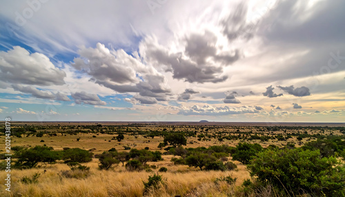 Expansive African Savannah Landscape Under Dramatic Wispy Clouds and Golden Hour Light