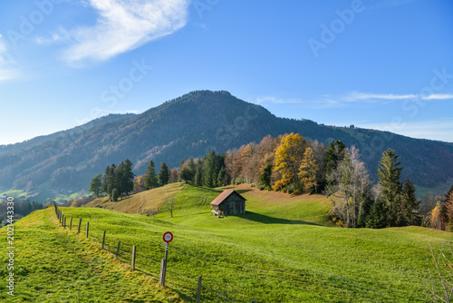 Wooden barn on green hillside with alpine backdrop