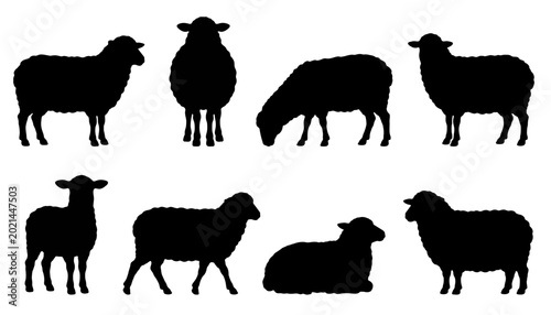 Photos Black Sheep Silhouette Collection with Standing Grazing and Sitting Farm Animal