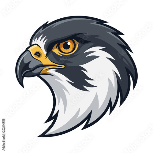 Foto Eagle Bird Head Closeup Illustration.