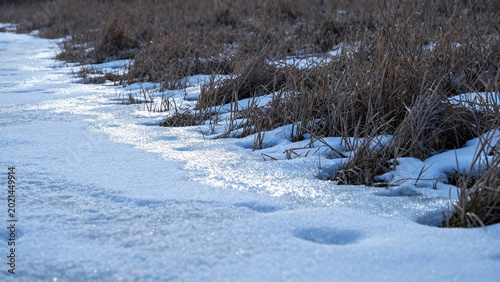 Snow-covered ground with icy path and dry grass in a winter landscape