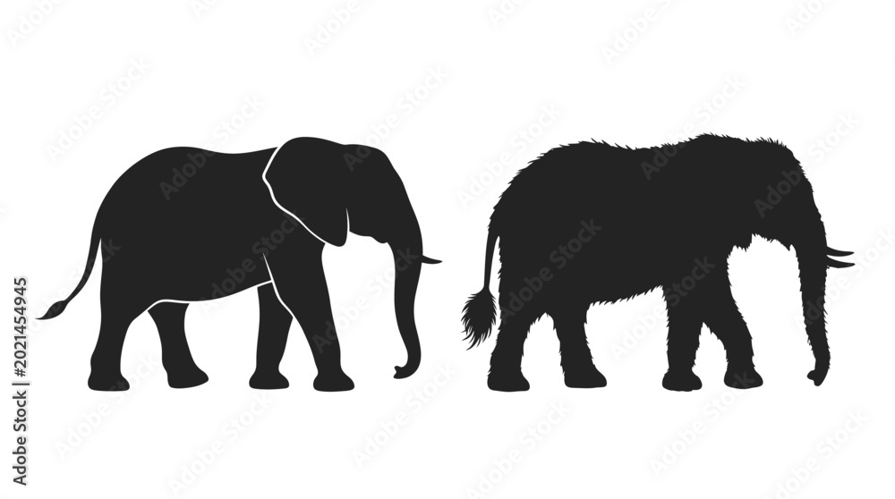 Fototapeta premium Black silhouettes of two walking elephants side by side