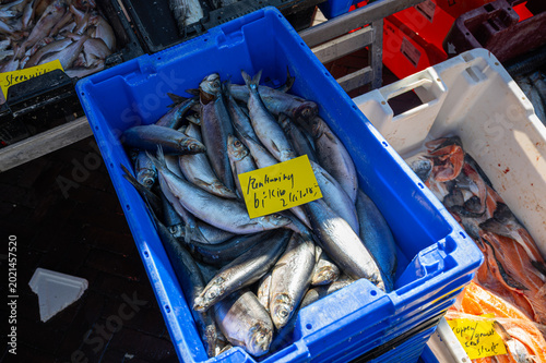 Fotografia Fresh fish in crates at street market