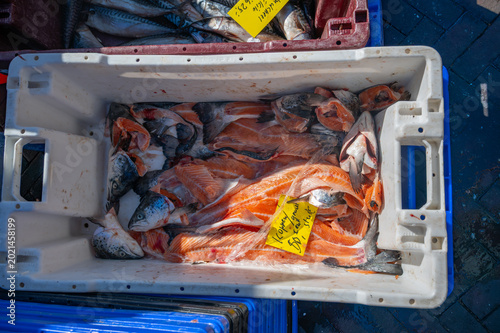 Tableau sur toile Salmon fish trimmings at street seafood market