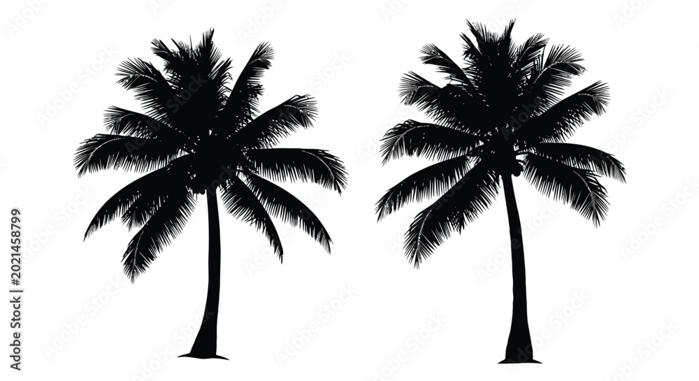 Fototapeta premium Palm tree silhouettes on white background