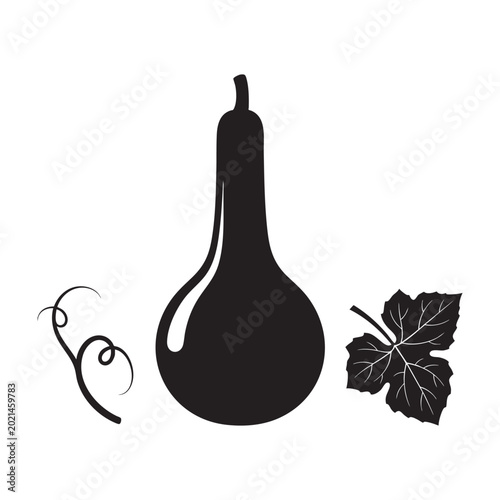 Photos Bottle gourd calabash vegetable curly vine and leaf set