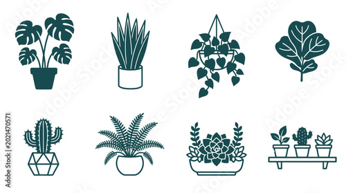 Collection of hand drawn houseplant illustrations set.