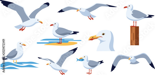 Foto Seagull Bird Illustration Set Featuring Coastal Gulls in Flight Standing on Pili