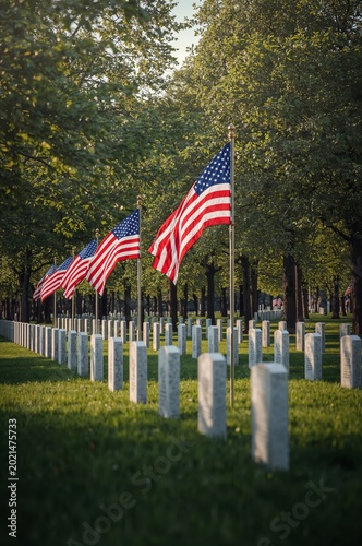 Flags Mark Graves in a Cemetery During Late Afternoon Sun Near Arlington