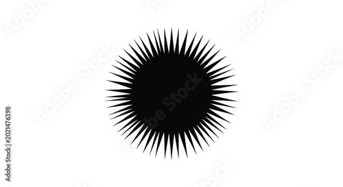 Sea urchin silhouette against a white background