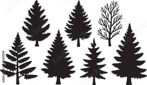 Tableau sur toile Set of coniferous trees, vector and isolated