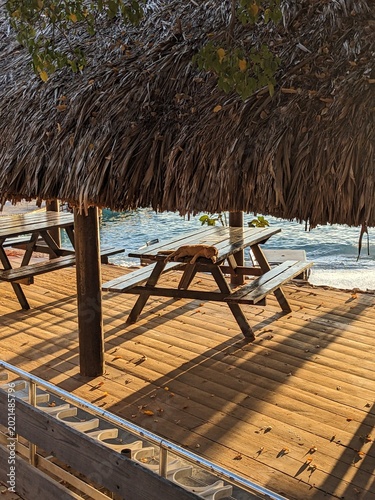 Schilderij op canvas Cat relaxing under palapa in Curacao