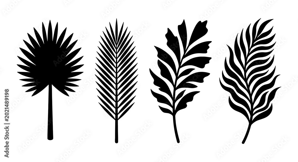 Fototapeta premium Tropical Palm Leaf Silhouettes, Exotic Botanical Vector Set, Black and White Jungle Foliage Collection, Nature Design Elements