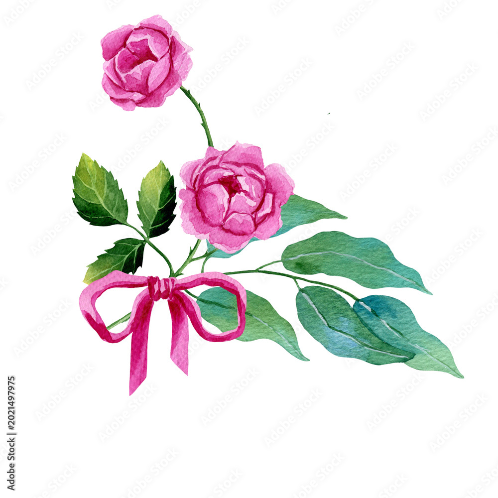 Fototapeta premium Rose and leaf, eucalyptus branch, bow. Hand painted watercolor illustration isolated on white background. For design, cards, postcards, flyers