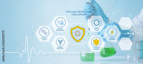 Foto Illustrative depiction of the immune response mechanism highlighting key compone