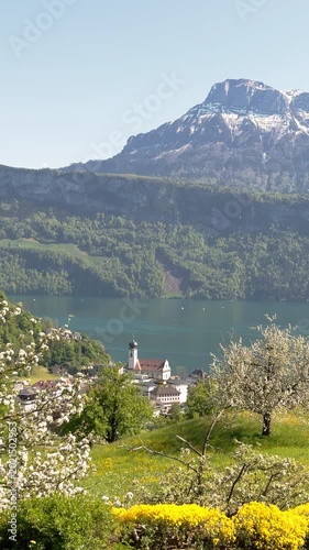 Spring Blossom View of Village Gersau and Lake Lucerne from Vitznauerstock Hiking Trail, Rigi, Switzerland