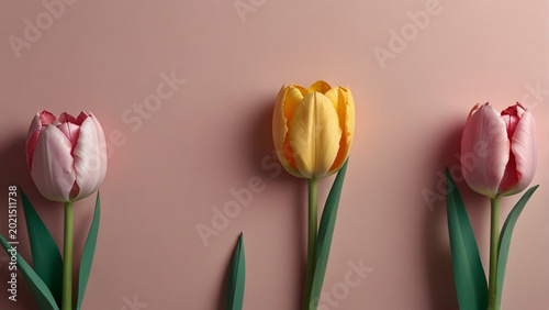 red and yellow tulips