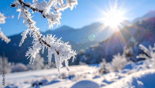 Frosty branch against a winter landscape, sun beaming over distant mountains