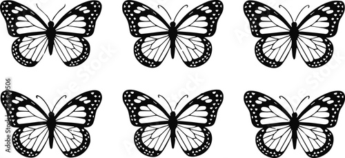 Foto butterfly graphic identical symmetrical wing shape pattern print