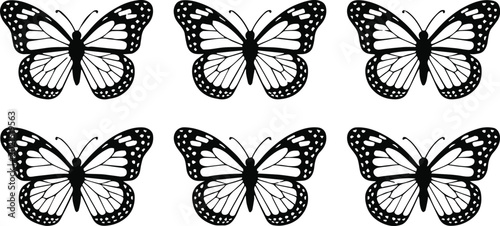 Quadro su tela butterfly vector seamless pattern monochrome symmetrical icons set