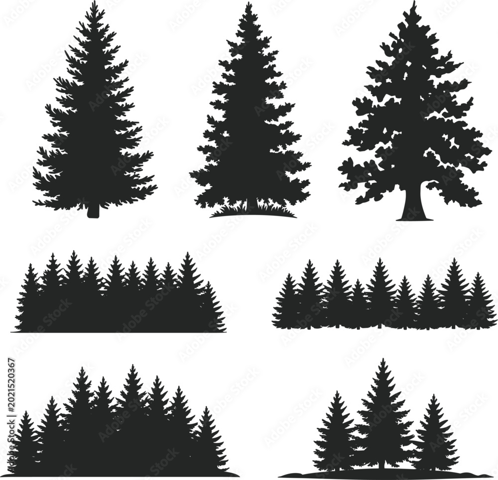 Fototapeta premium Collection of black pine tree silhouettes, including individual trees and forest borders fir tree conifer