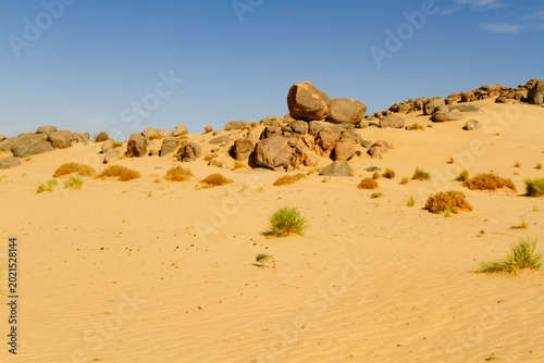 Tableau sur toile Sahara landscape